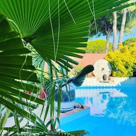 Hebergement Insolite Studio Grau Du Roi Mas Des Marines Piscine Ле-Гро-дю-Руа Экстерьер фото