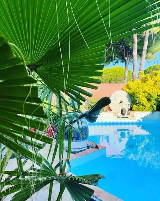 Hebergement Insolite Studio Grau Du Roi Mas Des Marines Piscine Ле-Гро-дю-Руа Экстерьер фото